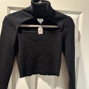 NWT Cropped Turtleneck